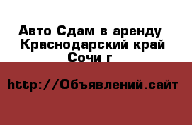 Авто Сдам в аренду. Краснодарский край,Сочи г.